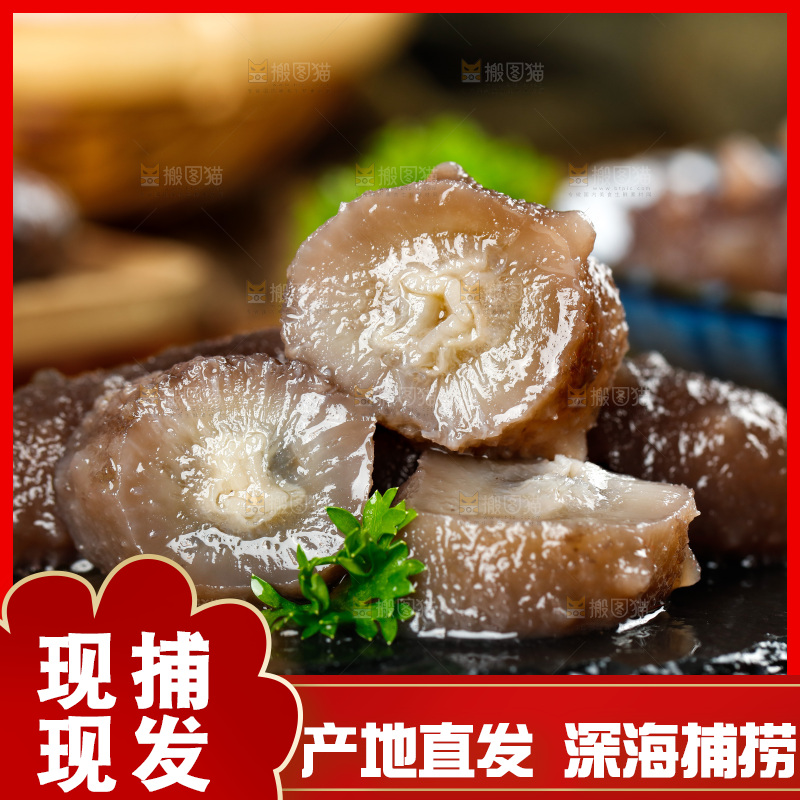 黑石板上的刺参