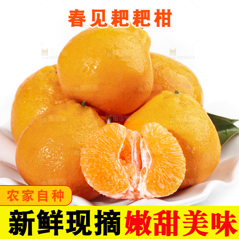 一盘新鲜的耙耙柑放在白底上