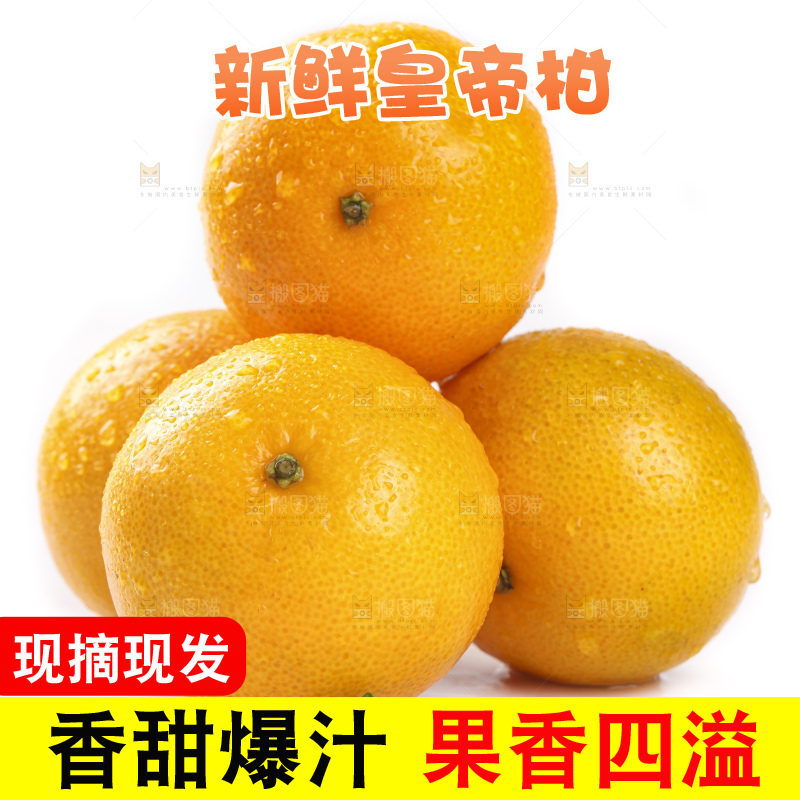 白底上的广西皇帝柑