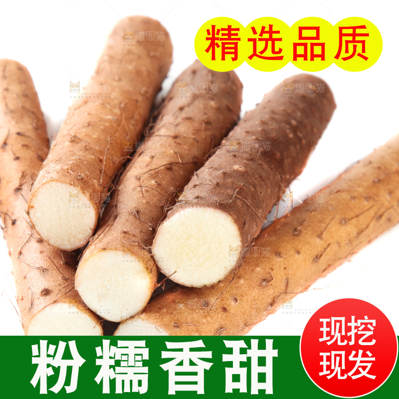 白底上摆放着山药