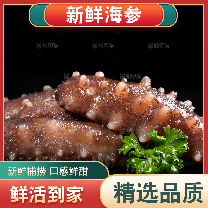 黑底上的海参