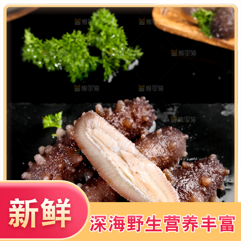 黑石板上的海参