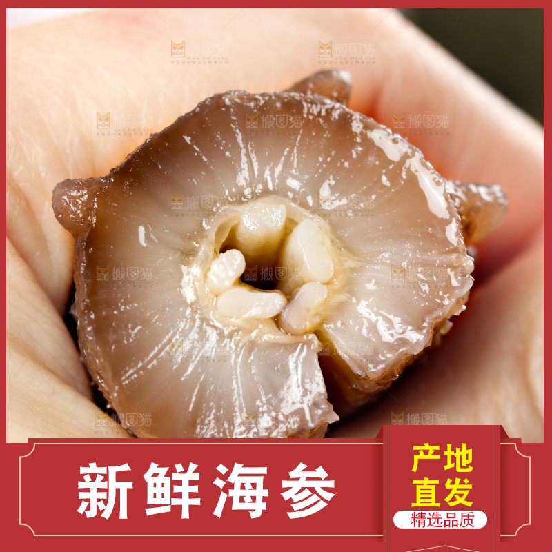 手拿海参