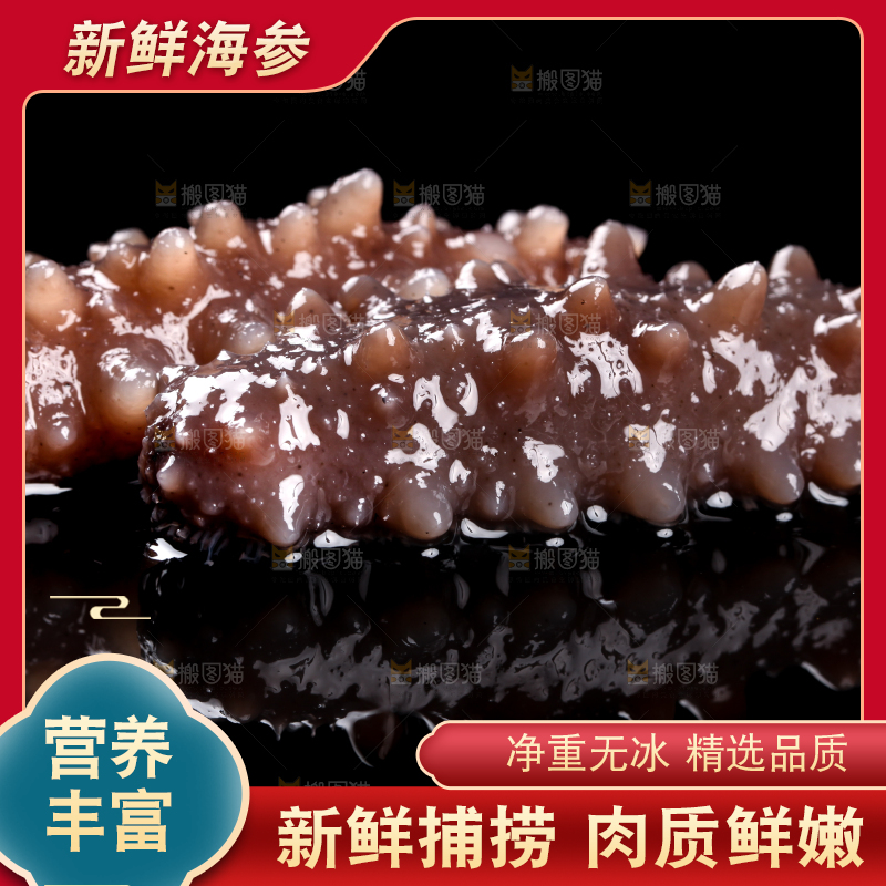 黑底上的海参
