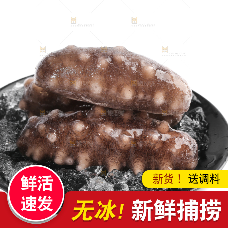 白底上放着一盘冰镇海参