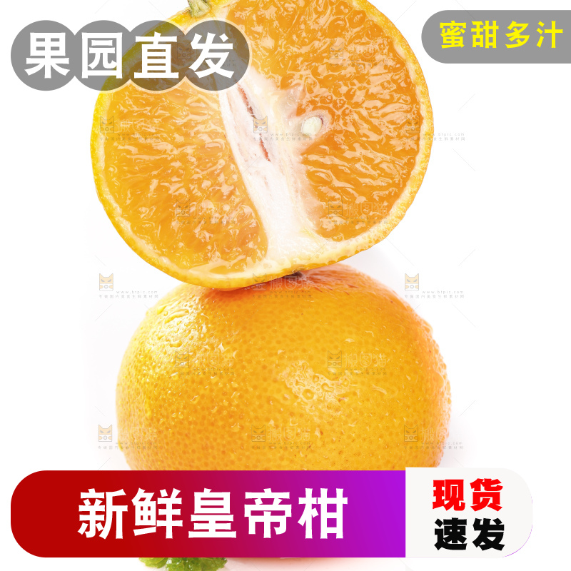 切开的皇帝贡柑放在白底上