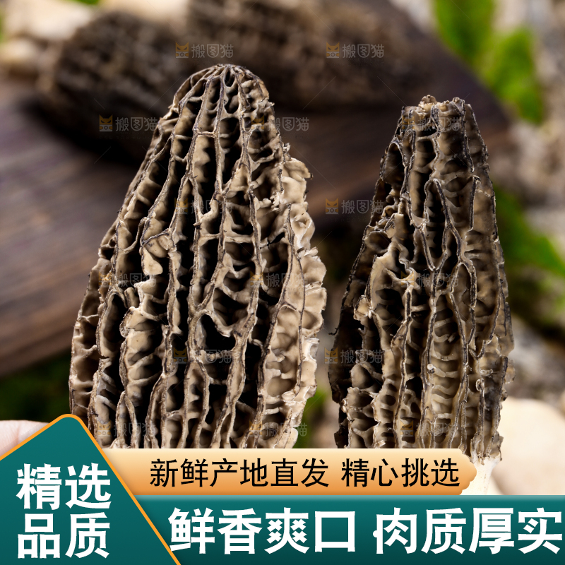 手里拿着羊肚菇