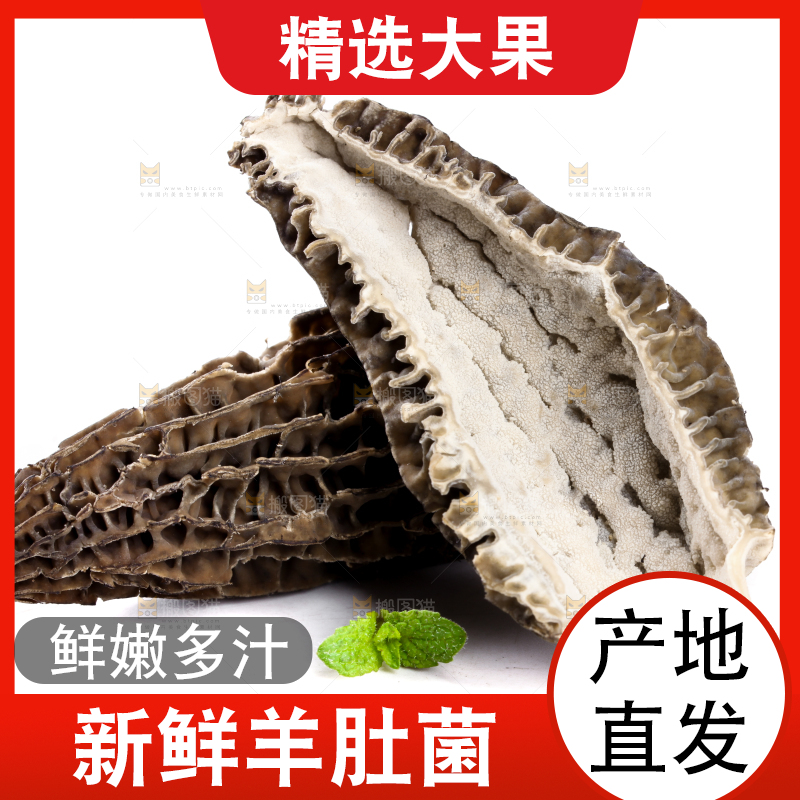 白底上放着羊肚菇