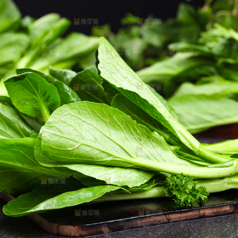 深底上摆放着菜苔
