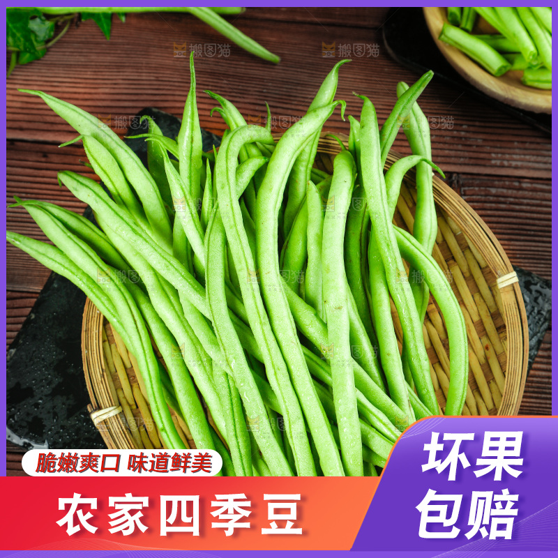 篮子里装着四季豆