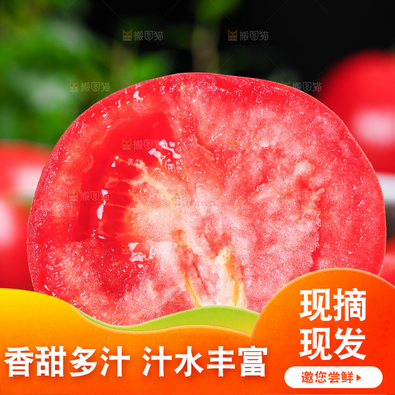 手里拿着沙瓤西红柿