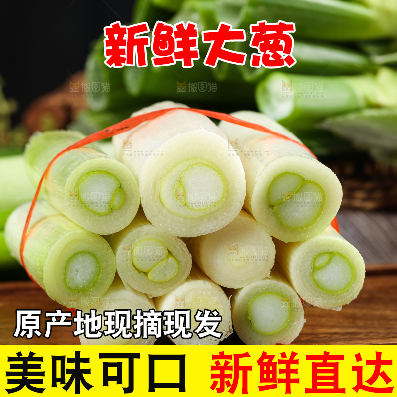 木底上的山东大葱