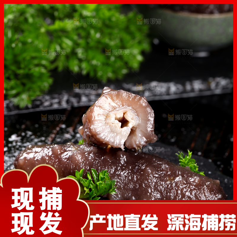 切开的海参放在黑石板上