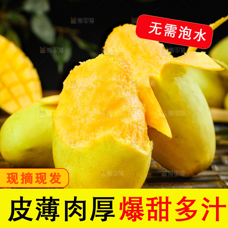 深底上摆放着玉芒