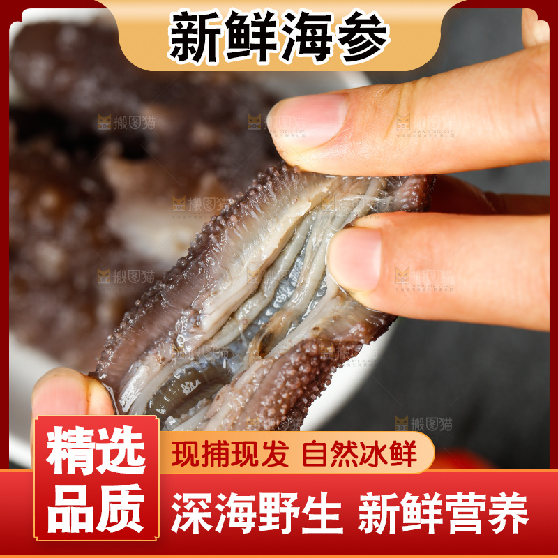 手拿海参