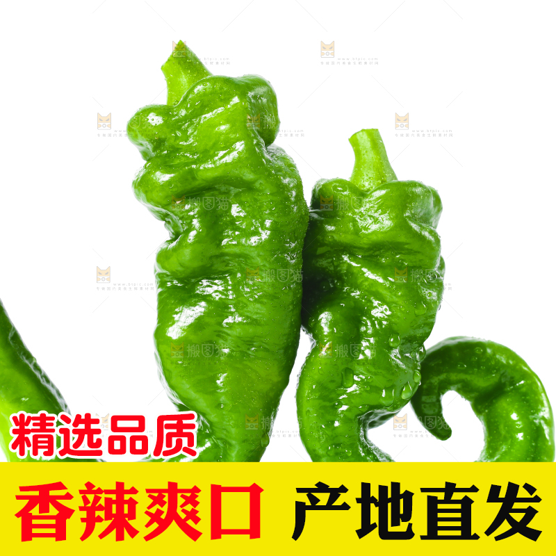 白底上的新鲜螺丝椒