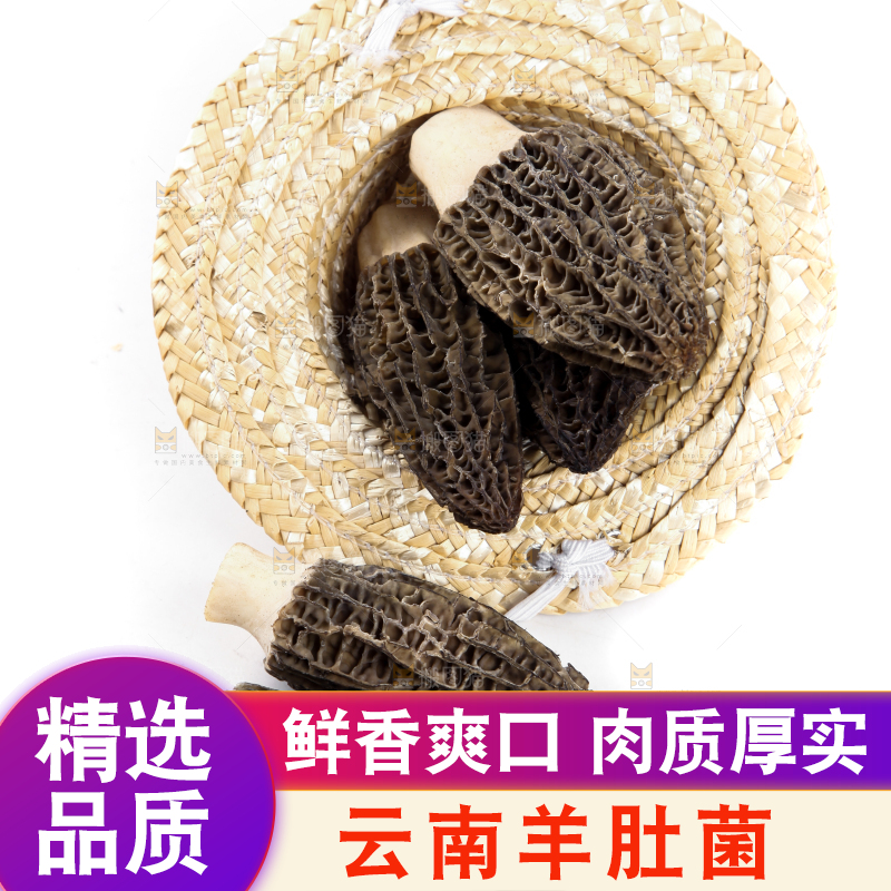 草帽里装着羊肚菌