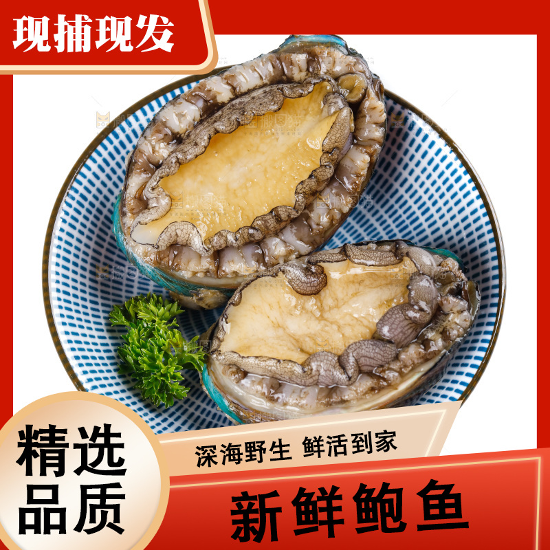 白底上放着一碗鲍鱼