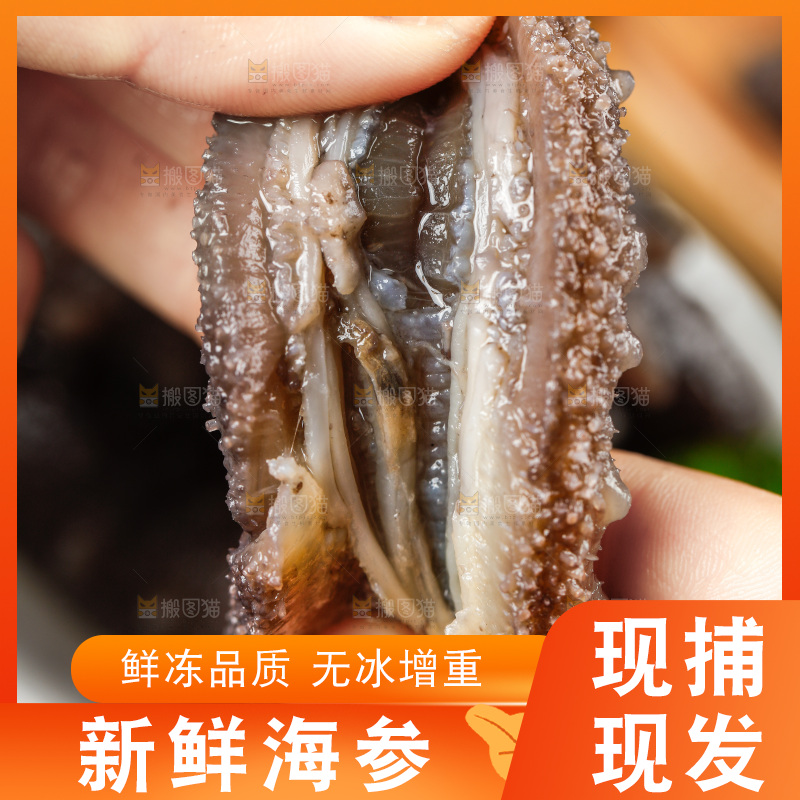 手拿海参