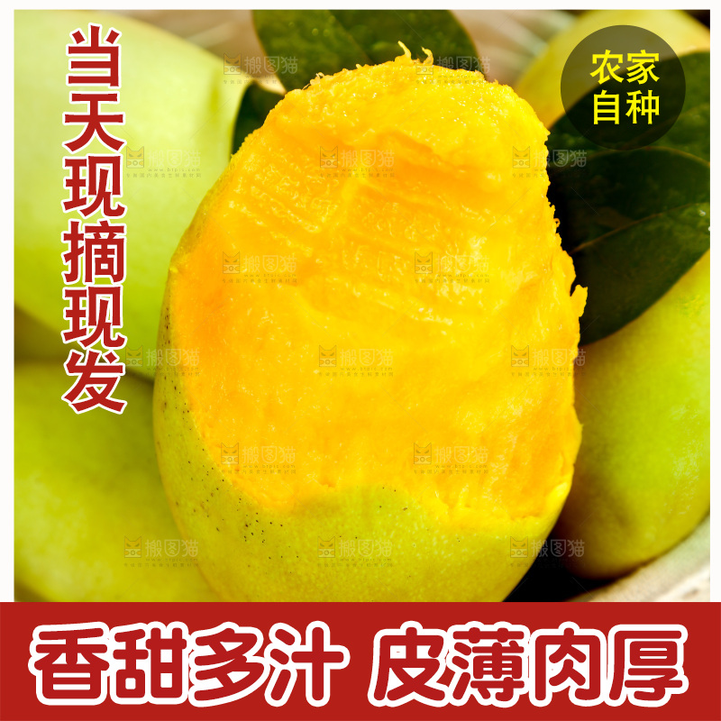 篮子里装着玉芒