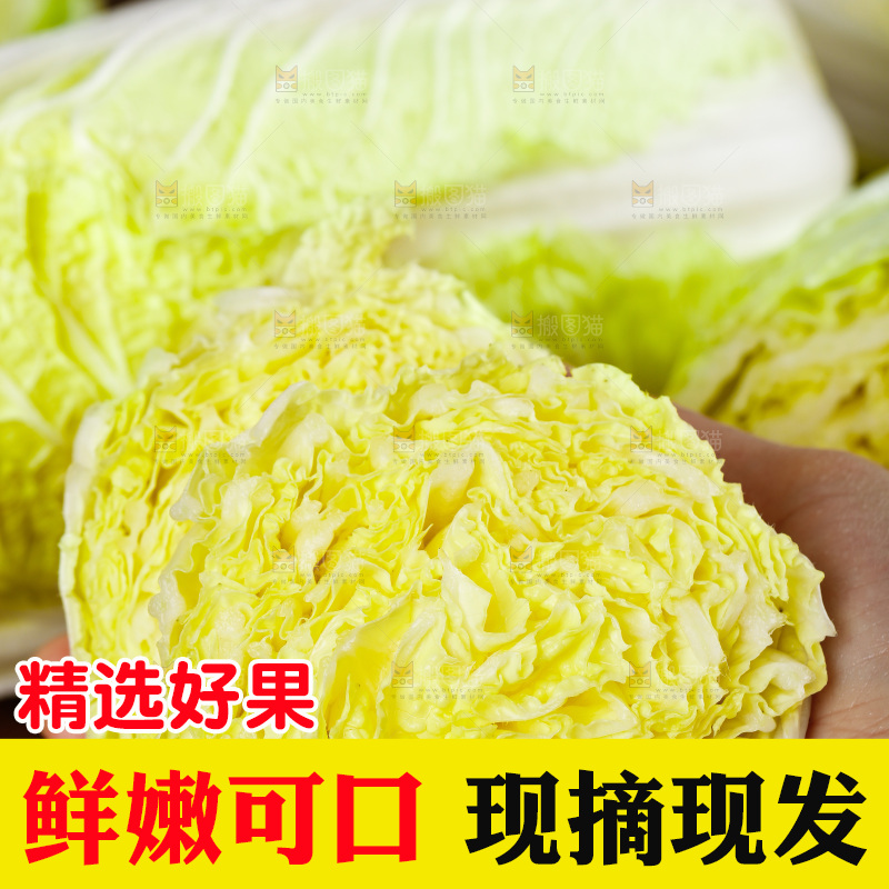 手拿切开的大白菜