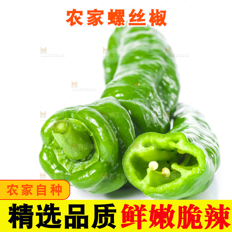 切开的螺丝椒放在白底上
