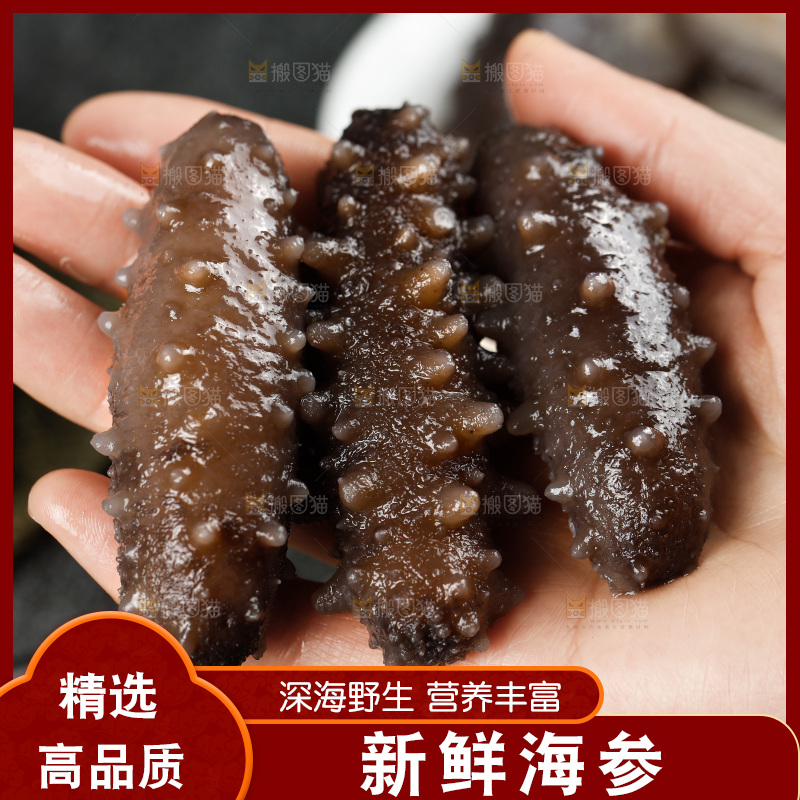 手拿海参