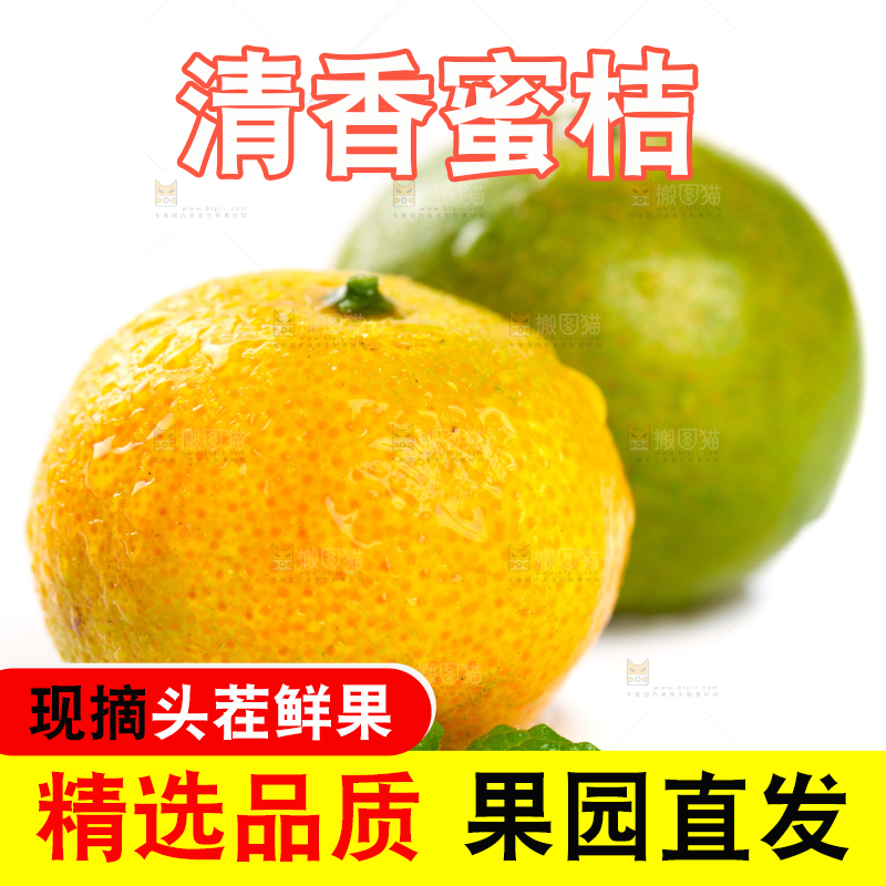 白底上的桂林清香蜜桔