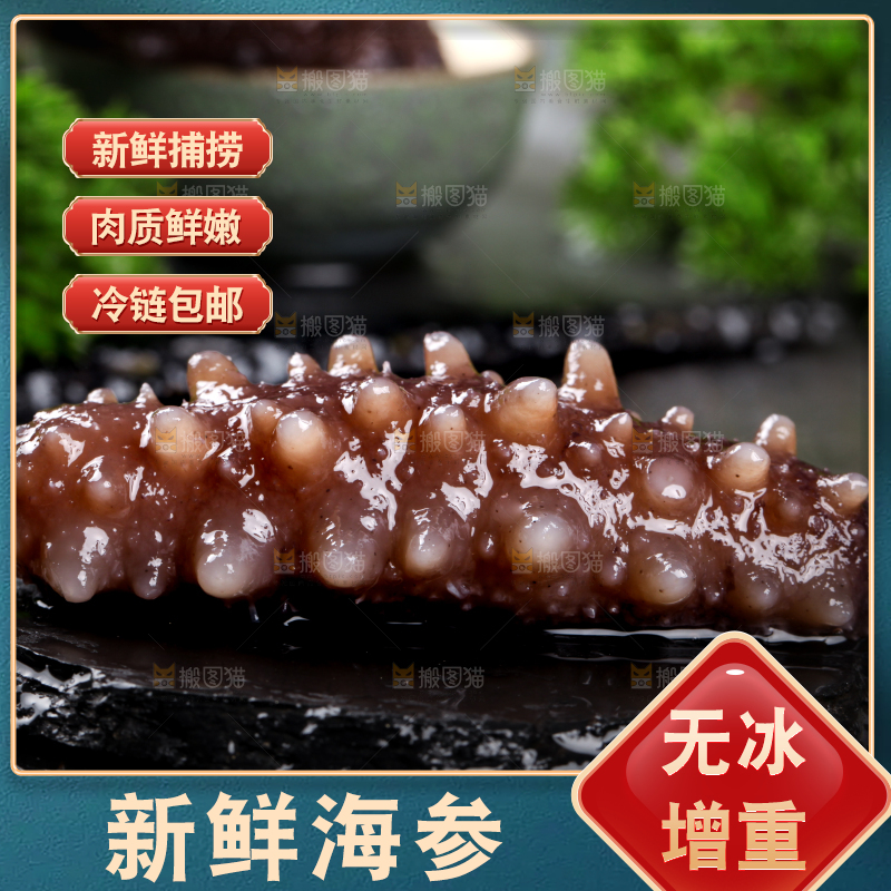 黑石板上的淡干海参