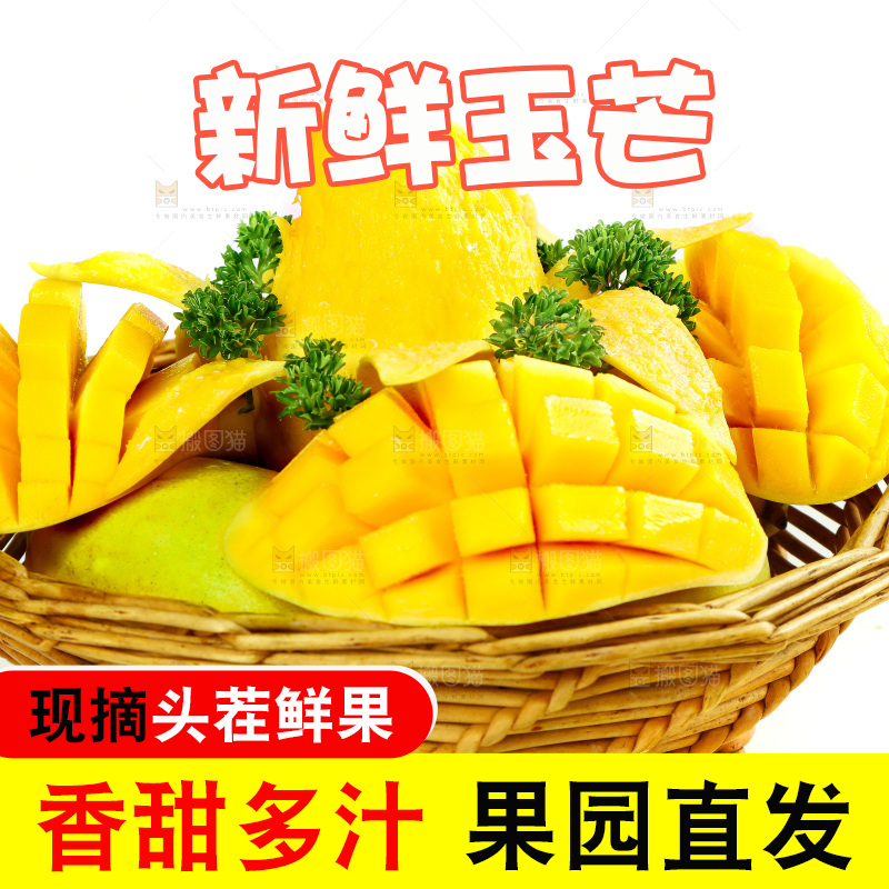 篮子里装着玉芒
