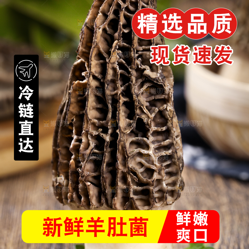 深底上摆放着羊肚菌