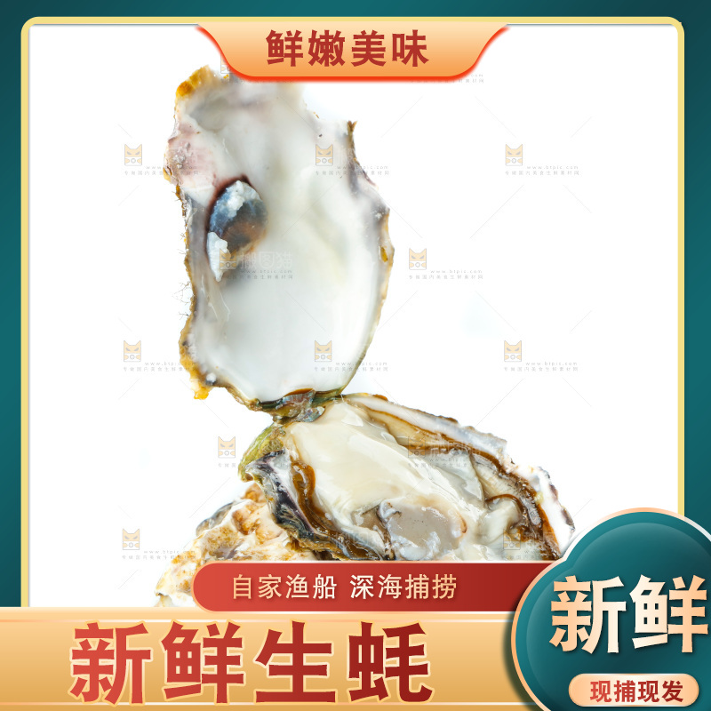 剥开的生蚝放在白底上