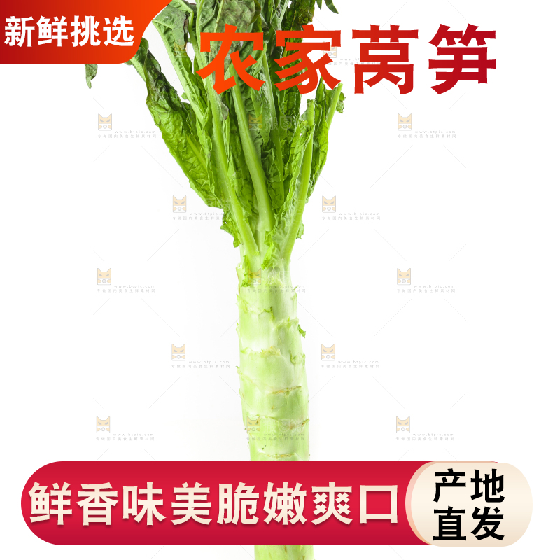 白底上放着莴笋