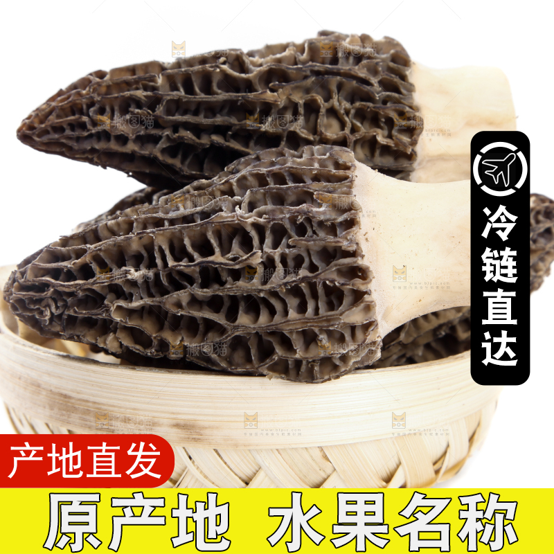 篮子里放着羊肚菇