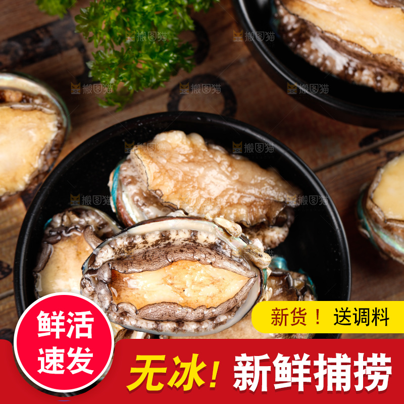 深底上放着一盘鲍鱼