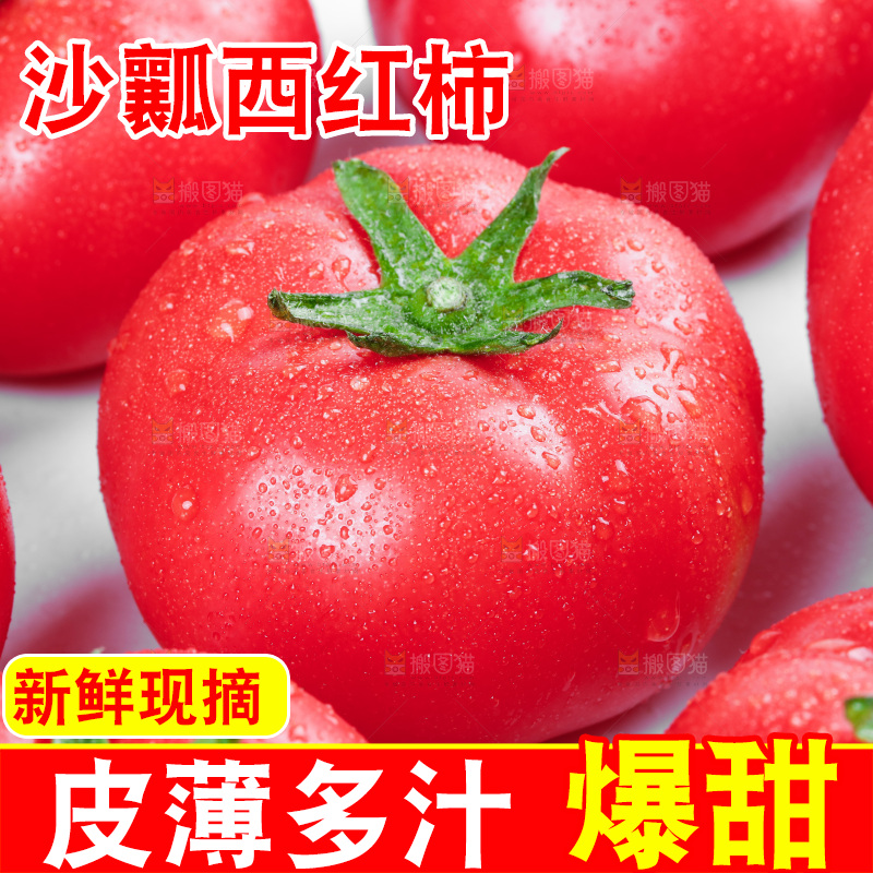 白底上摆放着西红柿