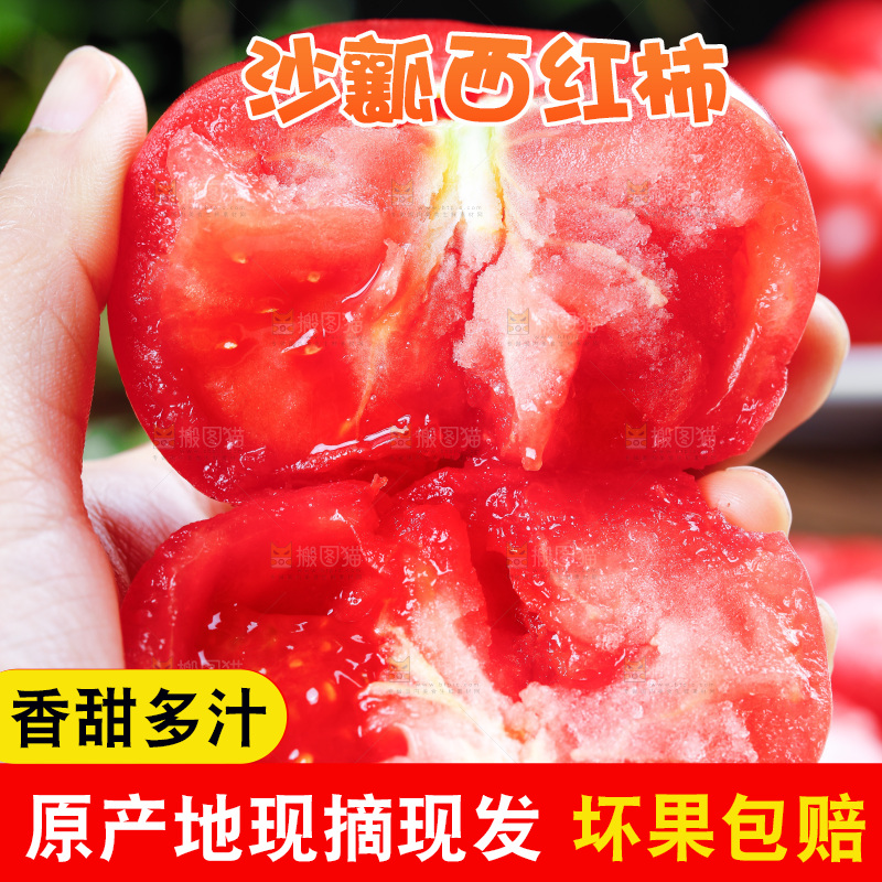 手里拿着沙瓤西红柿