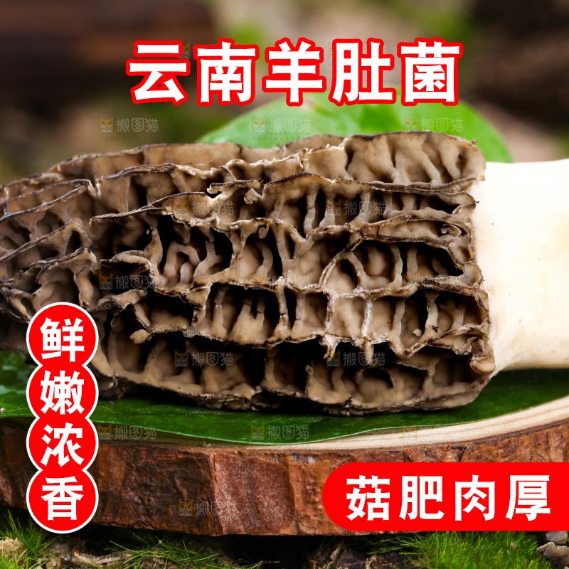木底上放着羊肚菌