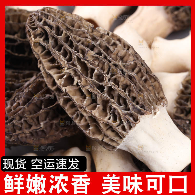 盘子里装着羊肚菇