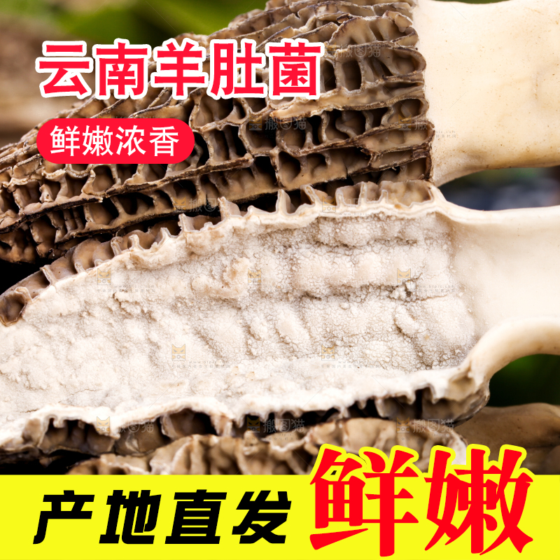 木盒子里放着羊肚菇