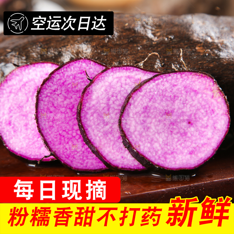 深底上摆放着紫人参