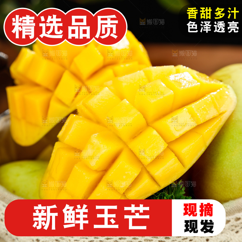 篮子里装着玉芒