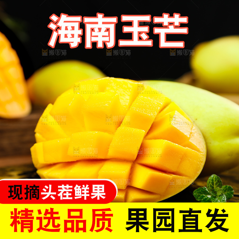 深底上摆放着玉芒