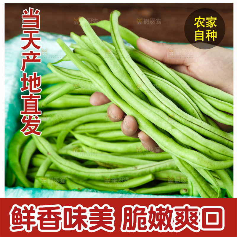 袋子里装着四季豆