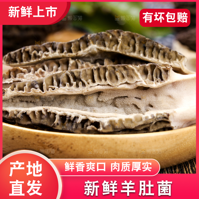 盘子里装着羊肚菌