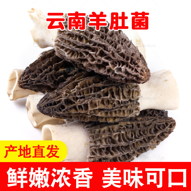 白底上摆放着羊肚菌