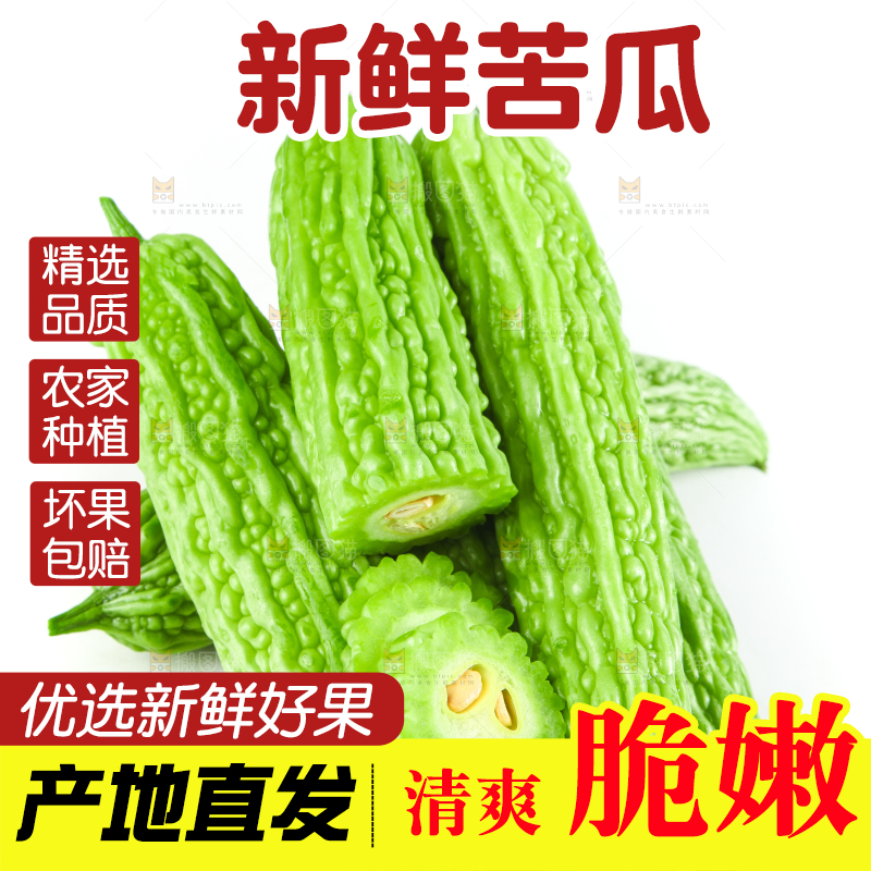 白底上摆放着凉瓜