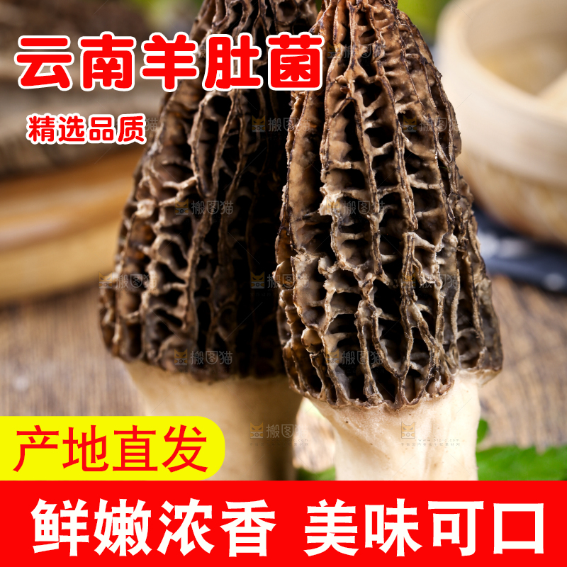 深底上摆放着羊肚菌