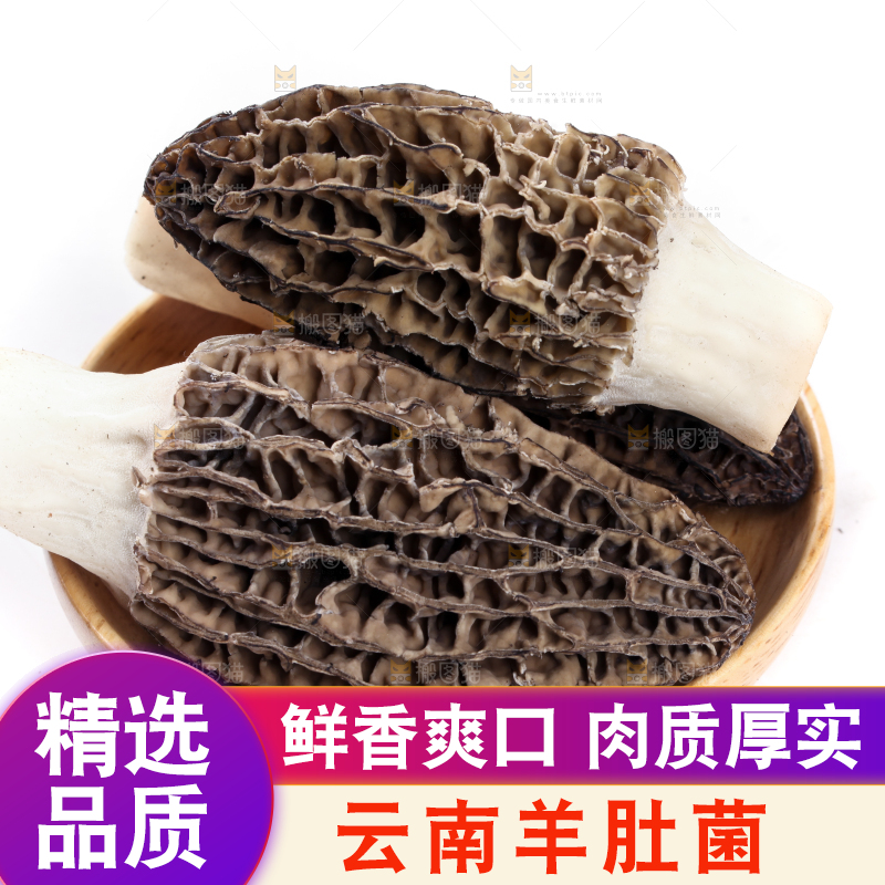 盘子装着羊肚菇