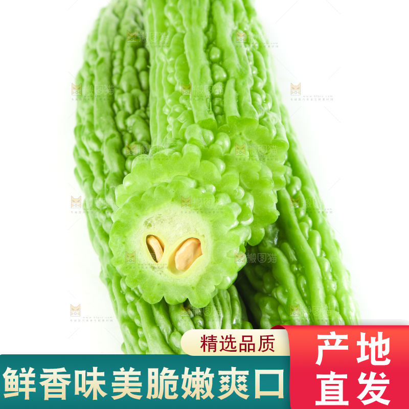 白底上摆放着凉瓜